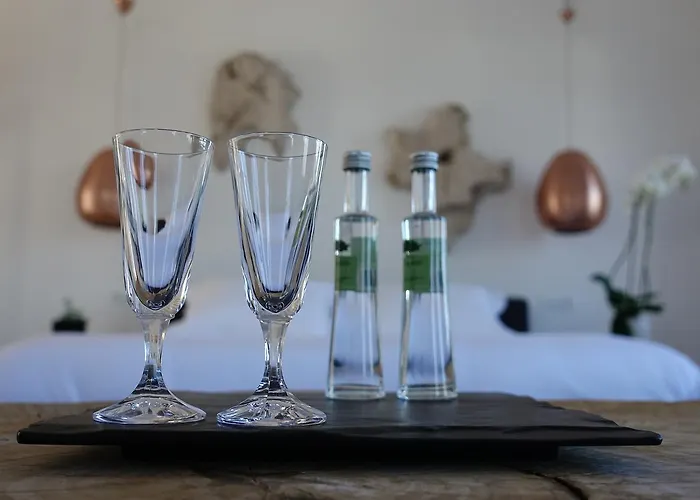 爱玛仕米克诺斯酒店