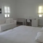 酒店 爱玛仕米克诺斯酒店 Mykonos Town