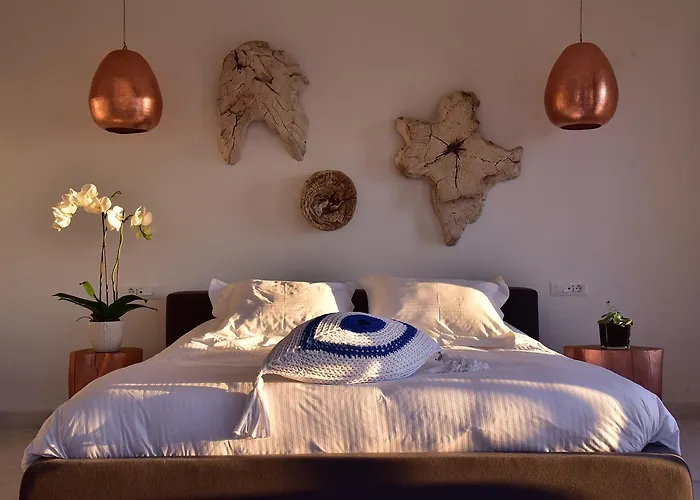 酒店 Hermes Mykonos Mykonos Town